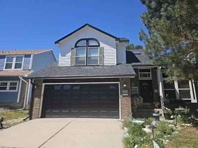 Gutter Replacement Services