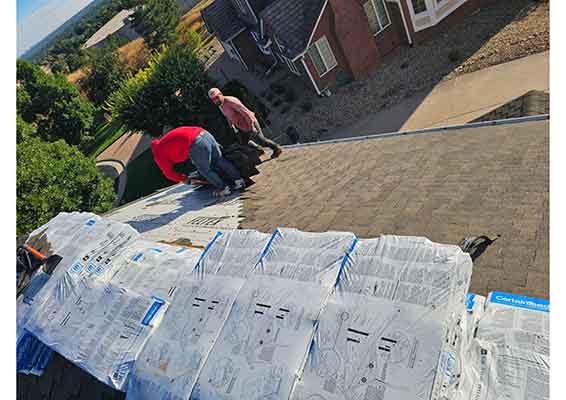 Professional Roofing Contractors